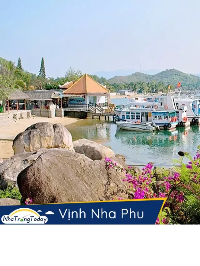   Tour Du Lịch Nha Trang - Đà Lạt: Khám phá hành trình 3 ngày 2 đêm thú vị