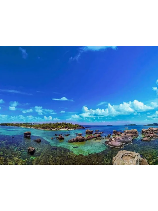   Tour Phú Quốc Trong Ngày: Khám phá Hòn Đảo Ngọc Bích của Việt Nam