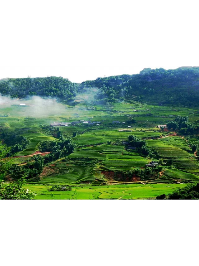   Du Lịch Mộc Châu, Mai Châu: Cuộc Hành Trình 2 Ngày Tuyệt Vời